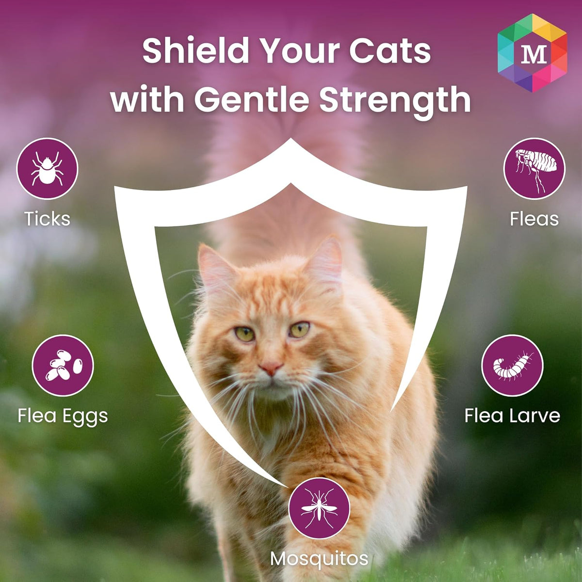 Spot On Treatment for Cats (Pack of 2) - Animeal