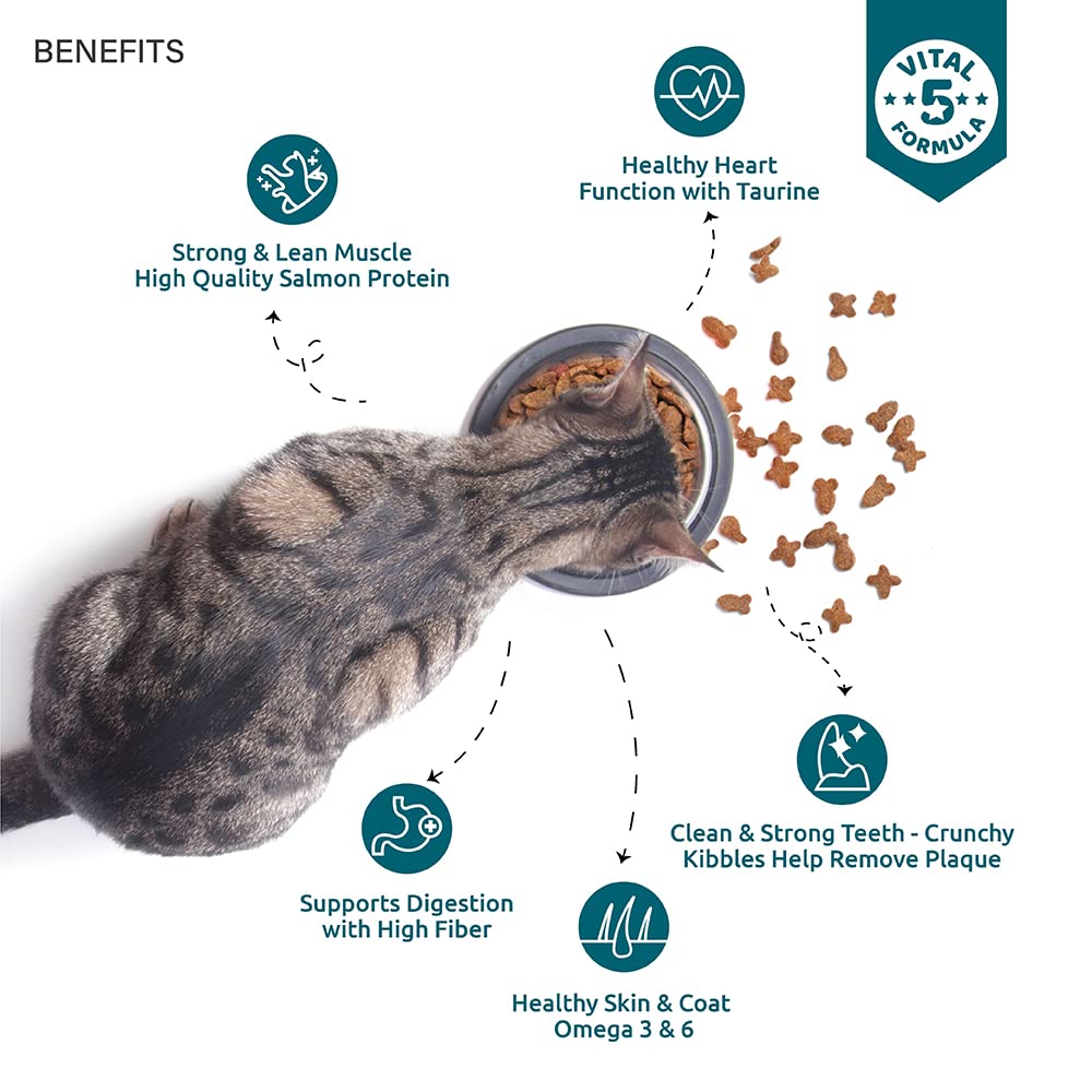 TOPTAIL ADULT SALMON & CHIC DRY FOOD [450 GM] - Animeal