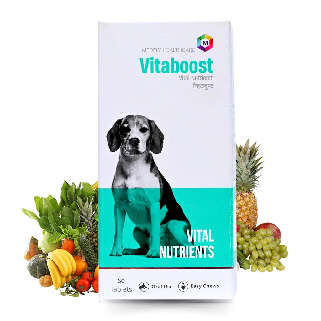 Vitaboost Multivitamins and Minerals Supplement for Dogs- Pack of 60 Tablets - Animeal