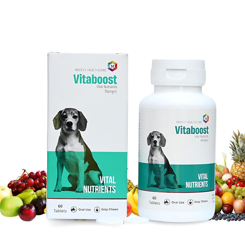 Vitaboost Multivitamins and Minerals Supplement for Dogs- Pack of 60 Tablets - Animeal