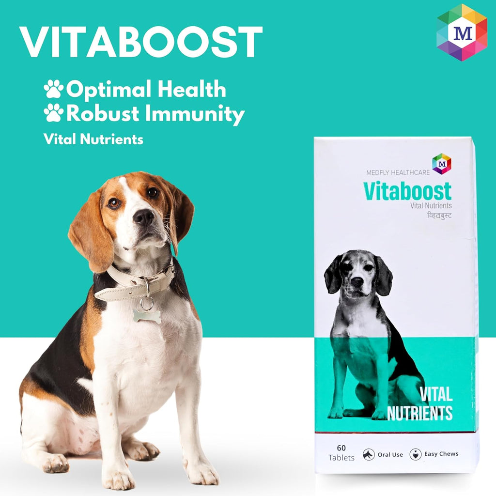 Vitaboost Multivitamins and Minerals Supplement for Dogs- Pack of 60 Tablets - Animeal
