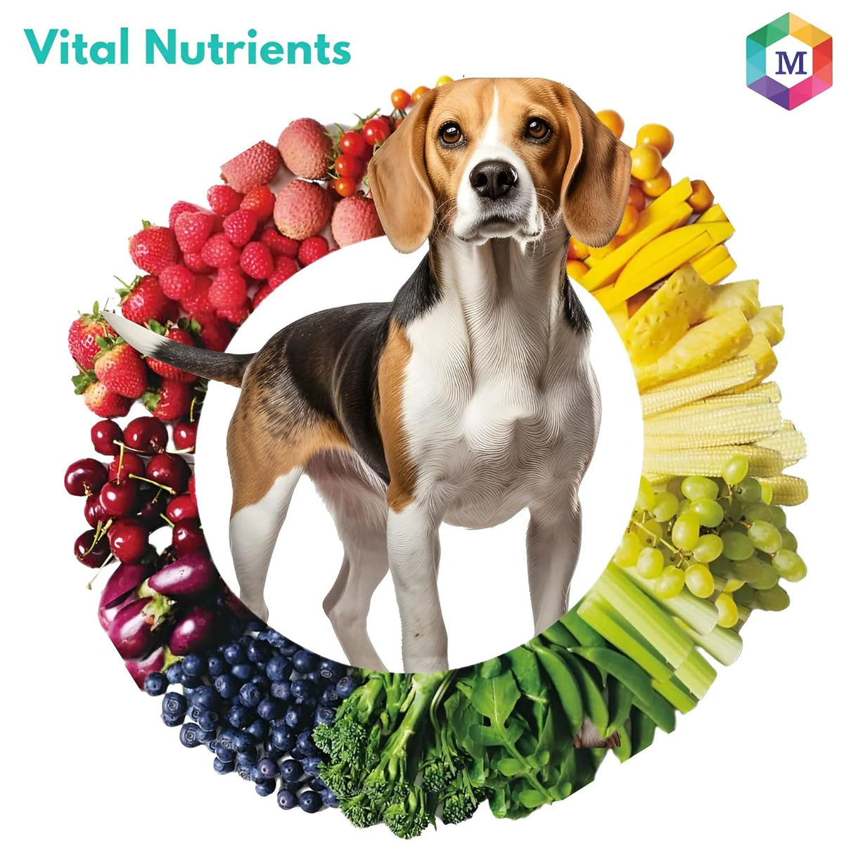 Vitaboost Multivitamins and Minerals Supplement for Dogs- Pack of 60 Tablets - Animeal