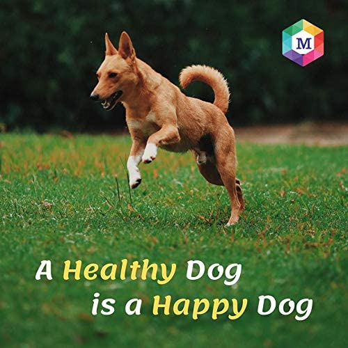 Vitaboost Multivitamins and Minerals Supplement for Dogs- Pack of 60 Tablets - Animeal