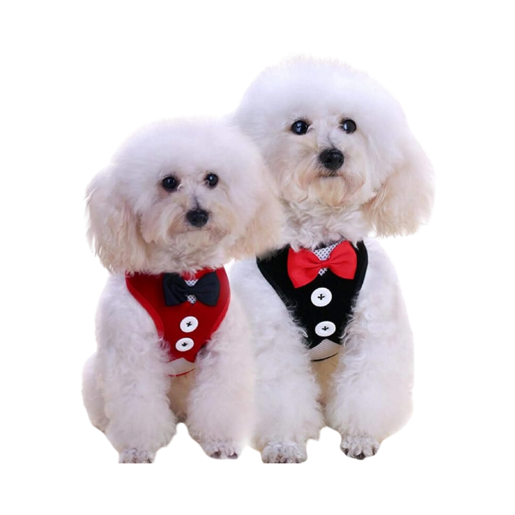 WW TOYBREED TUXIDO HARNESS WITH LEASH (L) - Animeal